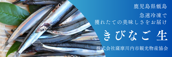 甑島（鹿児島県）甑みなと市場