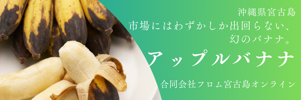 宮古島（沖縄県）ミヤコジマルシェ