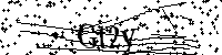 下記に表示される文字と数字を入力してください