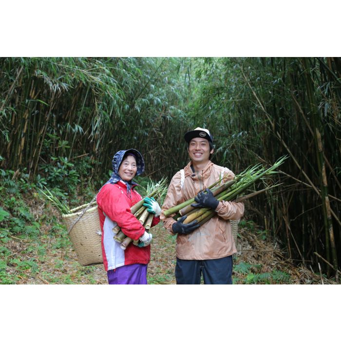 大名筍3kg （竹島産） 予約注文受付中 「5月中旬〜6月上旬